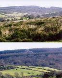 Mardon Down S - PID:44049