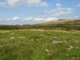 Blackslade Down Cairn and Cist
