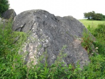 Broadsands Chambered Tomb - PID:58681