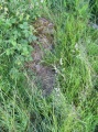 Broadsands Chambered Tomb