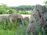 Click for full size image of Broadsands Chambered Tomb (PID:58685) Broadsands Chambered Tomb
