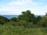 Click for full size image of Broadsands Chambered Tomb (PID:58694) Broadsands Chambered Tomb