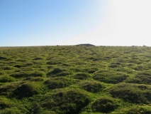 Cox Tor Summit Cairns - PID:93709