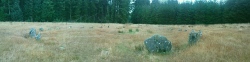 Click for full size image of Fernworthy circle (PID:52210) Fernworthy circle