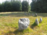 Click for full size image of Fernworthy circle (PID:54258) Fernworthy circle