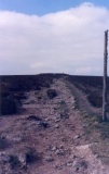 Broad Barrow (Hamel Down) - PID:29274