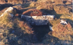 Hamel Down Cairn and Cist - PID:29301