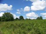 Hembury Fort