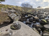 Click for full size image of The Tolmen Stone (Dartmoor) (PID:287677) The Tolmen Stone (Dartmoor)