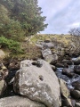 Click for full size image of The Tolmen Stone (Dartmoor) (PID:287676) The Tolmen Stone (Dartmoor)