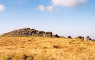Click for full size image of Rippon Tor (PID:34195) Rippon Tor