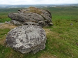 Rippon Tor