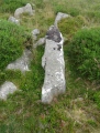 Rippon Tor