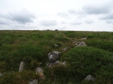 Click for full size image of Rippon Tor (PID:201738) Rippon Tor