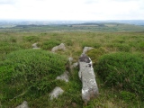 Click for full size image of Rippon Tor (PID:201740) Rippon Tor