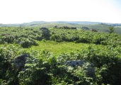 Smallacombe Rocks Settlement