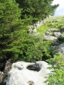 Click for full size image of The Tolmen Stone (Dartmoor) (PID:79612) The Tolmen Stone (Dartmoor)