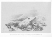 Click for full size image of The Tolmen Stone (Dartmoor) (PID:128486) The Tolmen Stone (Dartmoor)