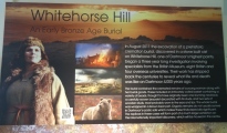 Whitehorse Hill cist