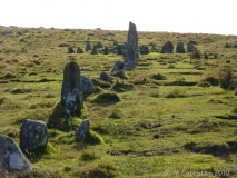 Down Tor stone row - PID:71616