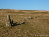 Click for full size image of Trowlesworthy West row (PID:166621) Trowlesworthy West row