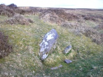 Cheriton Ridge 6 - PID:73896