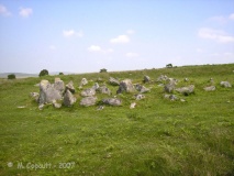 Shaugh Moor Settlement - PID:41726