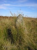 Ilkerton Ridge stones - PID:57294