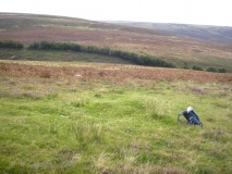 Furzehill Common 1 - PID:57547