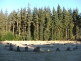 Click for full size image of Fernworthy circle (PID:108529) Fernworthy circle
