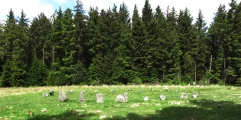 Click for full size image of Fernworthy circle (PID:84783) Fernworthy circle