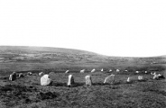 Click for full size image of Fernworthy circle (PID:71091) Fernworthy circle