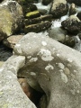 Click for full size image of The Tolmen Stone (Dartmoor) (PID:230205) The Tolmen Stone (Dartmoor)