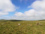 Click for full size image of Langstone Moor circle (PID:235096) Langstone Moor circle