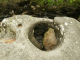 Click for full size image of The Tolmen Stone (Dartmoor) (PID:230207) The Tolmen Stone (Dartmoor)