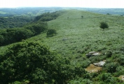 Click for full size image of Dewerstone (PID:113364) Dewerstone