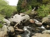 The Tolmen Stone (Dartmoor)