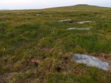 Click for full size image of Sittaford Stone Circle (PID:168517) Sittaford Stone Circle
