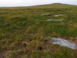 Sittaford Stone Circle