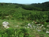 Click for full size image of Dewerstone (PID:113365) Dewerstone