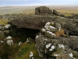 Click for full size image of White Tor (Peter Tavy) (PID:240216) White Tor (Peter Tavy)