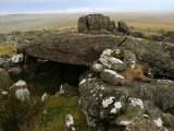 White Tor (Peter Tavy)