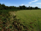 Click for full size image of Boringdon Camp (PID:174845) Boringdon Camp
