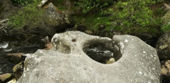 Click for full size image of The Tolmen Stone (Dartmoor) (PID:230204) The Tolmen Stone (Dartmoor)
