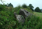 Click for full size image of Broadsands Chambered Tomb (PID:113553) Broadsands Chambered Tomb