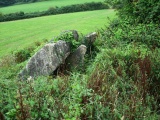 Click for full size image of Broadsands Chambered Tomb (PID:113554) Broadsands Chambered Tomb