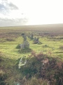 Click for full size image of Trowlesworthy East row (PID:267272) Trowlesworthy East row