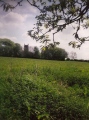 St Petrock's Well Devon