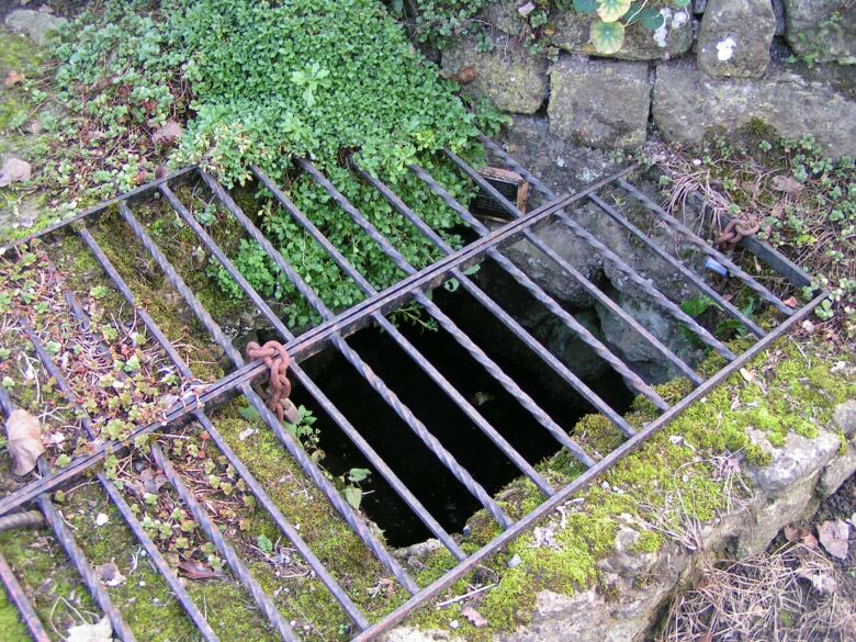 Click for full size image of St. Margaret's Well (Broomfield) (PID:17119) St. Margaret's Well (Broomfield)
