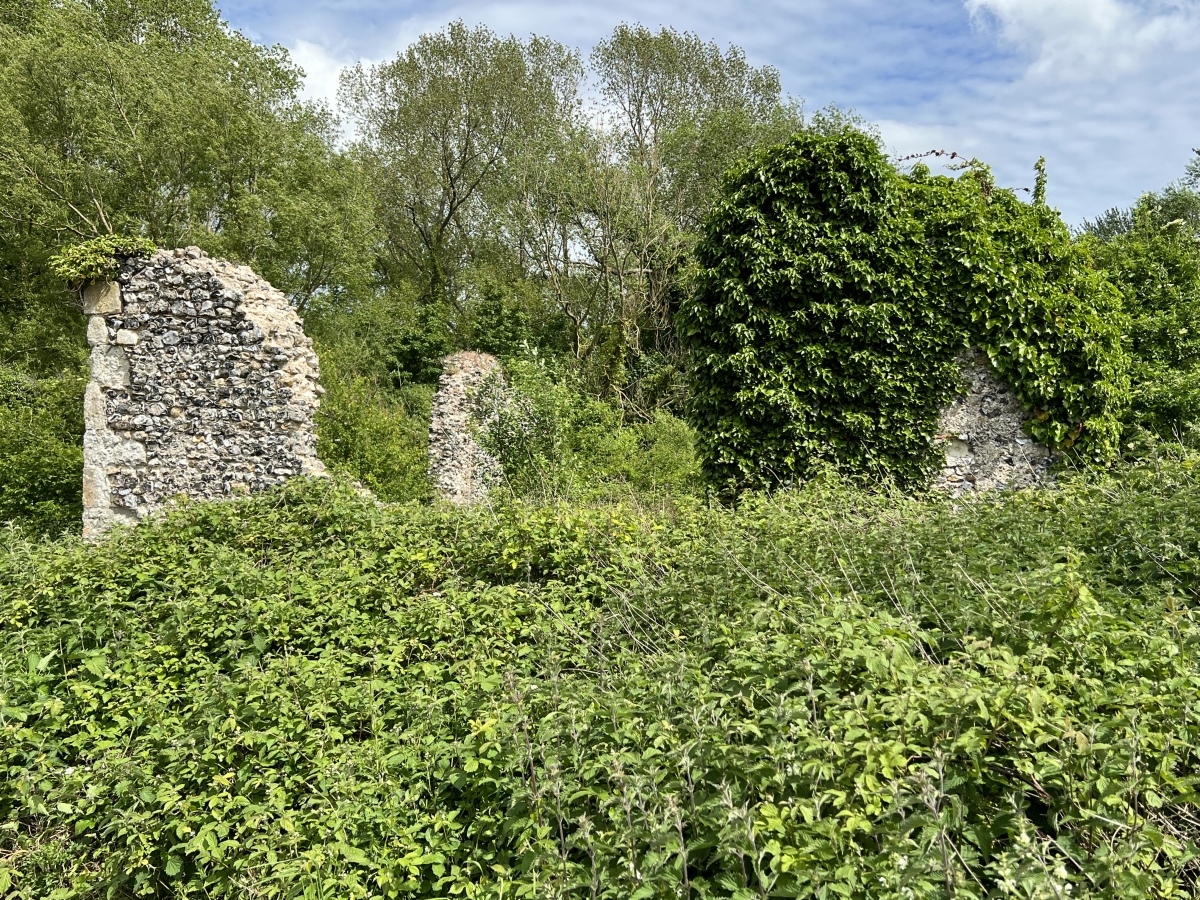 Ruins of Well chapel Bekesbourne May 2022